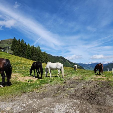 Lipphuette Top Lage Mit Traumhafter Aussicht Rauris Eksteriør bilde